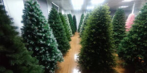 factory outlets big lots christmas trees